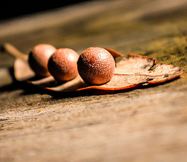 免费ddos压力测试平台